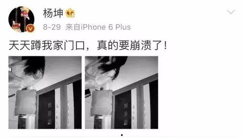 文轩私生饭视频爆料,揭秘明星隐私与粉丝狂热  第2张